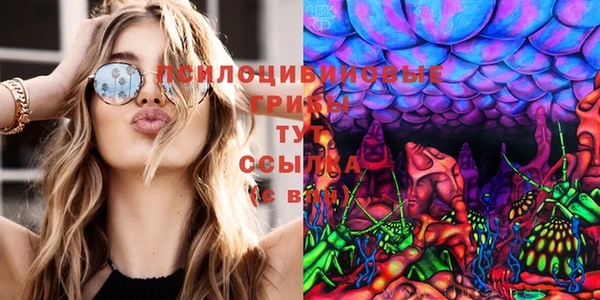 MDMA Premium VHQ Сосновый Бор