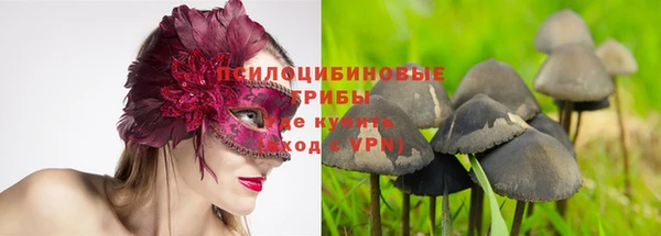 прущие грибы Балахна