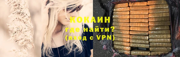 прущие грибы Балахна