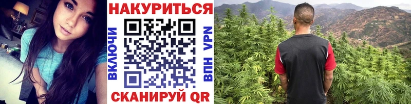 Конопля Ganja  Кувшиново 